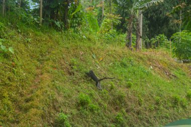 Yukarıdan görülebilen sis, serin. çok soğuk..