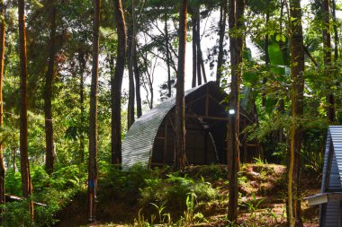 Doğal cazibe olarak kullanılan tropikal ormanların manzarası