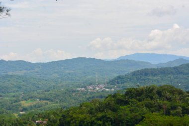 Doğal cazibe olarak kullanılan tropikal ormanların manzarası