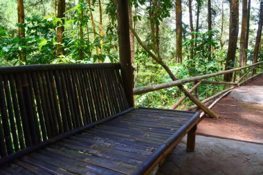 Doğal cazibe olarak kullanılan tropikal ormanların manzarası