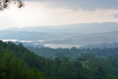 Doğal cazibe olarak kullanılan tropikal ormanların manzarası