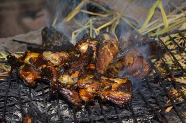 Yakıcı yayın balığının yakın portresi. Çok lezzetli görünüyor..