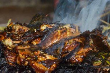 Yakıcı yayın balığının yakın portresi. Çok lezzetli görünüyor..