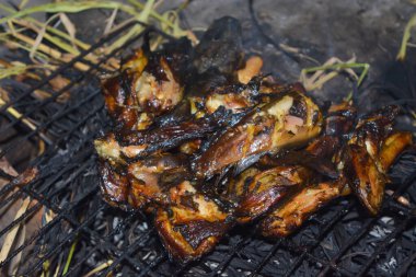 Yakıcı yayın balığının yakın portresi. Çok lezzetli görünüyor..