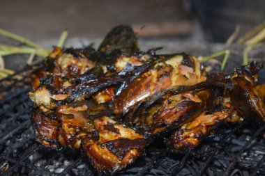 Yakıcı yayın balığının yakın portresi. Çok lezzetli görünüyor..