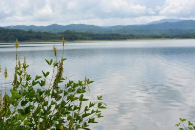 Wonosobo, Endonezya 'daki Wadaslintang Barajı