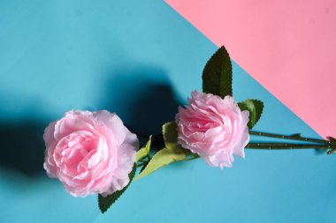 Evlilik, güller, laleler ve çiçekler samimiyeti ve sevgiyi simgeler.