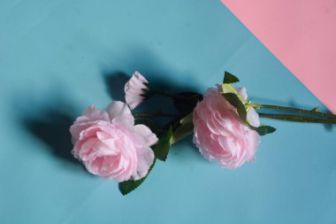 19 Haziran 2023, Geleneksel temalı bir şablon için Boşluğu Kopyala, Wonosobo, Endonezya