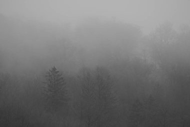 Abstract landscape in the mountains, with fog in the forest, in black and white.