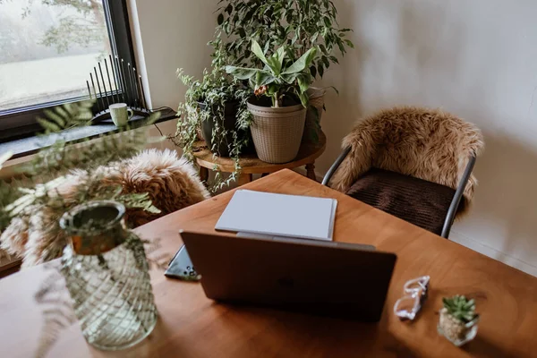 家庭办公室的时尚工作场所 带有笔记本电脑的木制桌子和带有漂亮绿色植物的工作项目 图库图片