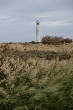 Morro Jable 'ın Kanarya Adası Fuerteventura, İspanya' daki deniz feneri..