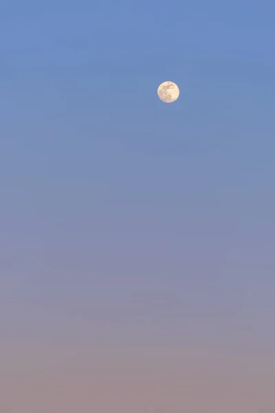 Luna Piena Sul Cielo Serale Primo Piano Può Essere Utilizzato — Foto Stock