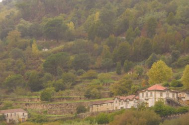 Portekiz 'deki Douro Vadisi' nin güzel manzarası ve eşsiz mimarisi.