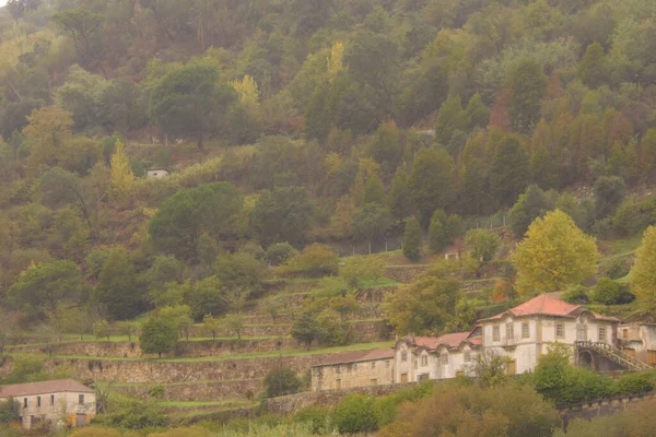 Красивый Пейзаж Долины Дору Португалии Уникальная Архитектура — стоковое фото