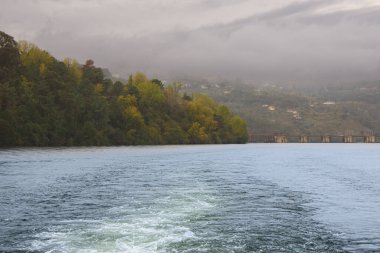 Portekiz 'deki Douro Vadisi' nin güzel manzarası ve eşsiz mimarisi.