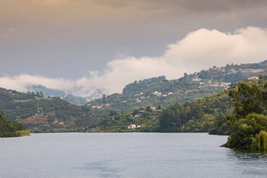 Portekiz 'deki Douro Vadisi' nin güzel manzarası ve eşsiz mimarisi.