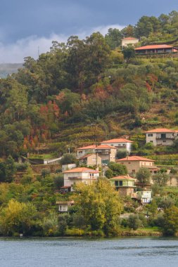 Portekiz 'deki Douro Vadisi' nin güzel manzarası ve eşsiz mimarisi.