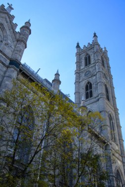 Montreal 'in güzel şehrinin ve mimarisinin manzarası. Quebec, Kanada. Notre-Dame Kilisesi
