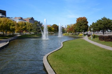 Montreal, Kanada, Quebec 'te sonbahar renklerine sahip bir park.