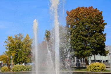 Montreal, Kanada, Quebec 'te sonbahar renklerine sahip bir park.