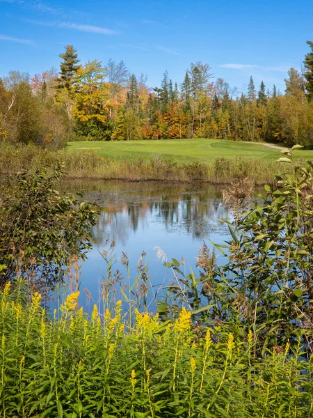 Nice Lake Canadian Golf Club Fall Province Quebec — Stock Photo, Image