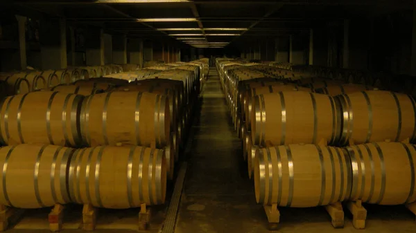 地下にワイン貯蔵 樽の眺め — ストック写真