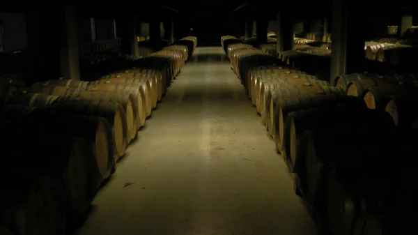 Weinlagerung Keller Blick Auf Fässer — Stockfoto