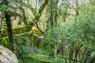 Sintra Kalesi 'nin manzarası, aynı zamanda Mağriplilerin Kalesi olarak da bilinir, Sintra dağlarının zirvelerinden birinde yalıtılmış kayalık bir kalabalık üzerine kurulmuştur.