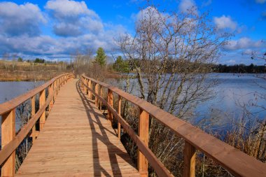 Ormandaki nehrin üzerindeki tahta köprü.