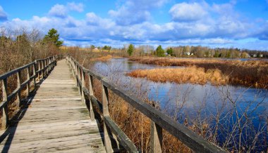 Nehir kıyısında tahta kaldırım