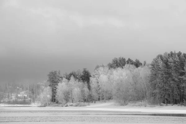 Lago Forestale Canadese Dopo Prime Nevicate Novembre Provincia Quebec — Foto Stock