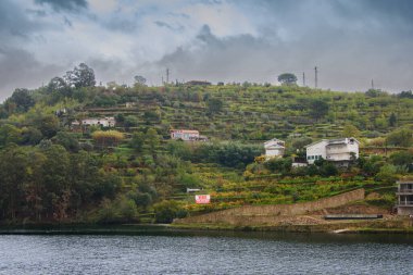 Portekiz 'deki Douro Vadisi' nin güzel manzarası ve eşsiz mimarisi.