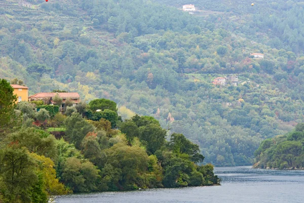 Красивый Пейзаж Долины Доуро Португалии Уникальная Архитектура — стоковое фото
