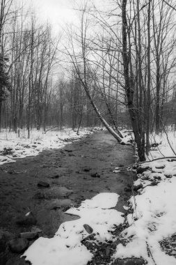 Kasım ayının ilk karından sonra Kanada ormanındaki nehir. Quebec Eyaleti
