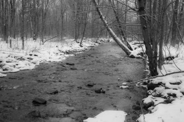 Kasım ayının ilk karından sonra Kanada ormanındaki nehir. Quebec Eyaleti