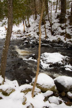 Kasım ayının ilk karından sonra Kanada ormanındaki nehir. Quebec Eyaleti