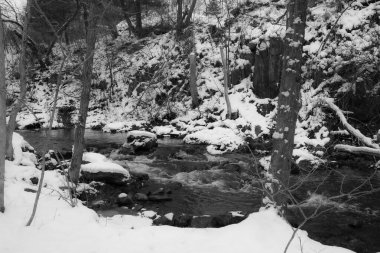 Kasım ayının ilk karından sonra Kanada ormanındaki nehir. Quebec Eyaleti
