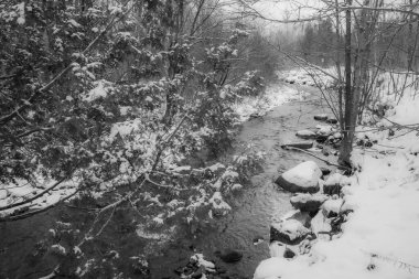 Kasım ayının ilk karından sonra Kanada ormanındaki nehir. Quebec Eyaleti