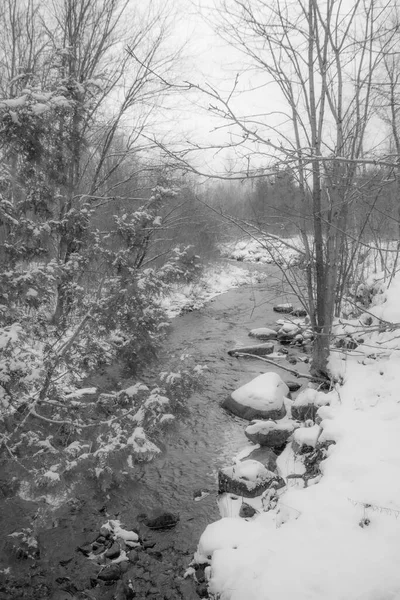 Rivier Het Canadese Bos Eerste Sneeuwval Van November Provincie Quebec — Stockfoto