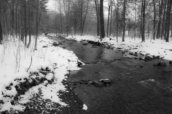 Rio Floresta Canadense Após Primeiras Neves Novembro Província Quebec — Fotografia de Stock