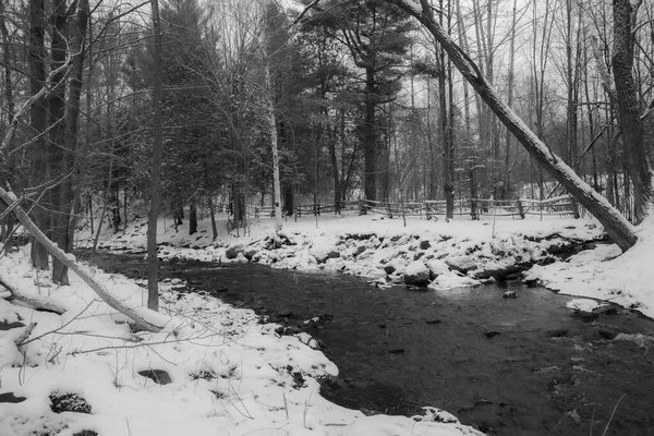 Rio Floresta Canadense Após Primeiras Neves Novembro Província Quebec — Fotografia de Stock