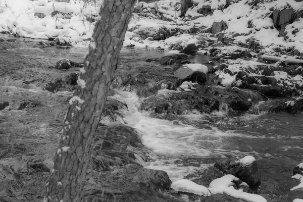 Ποταμός Στο Καναδικό Δάσος Μετά Πρώτα Χιόνια Του Νοεμβρίου Επαρχία — Φωτογραφία Αρχείου
