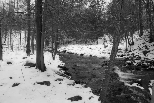 Fiume Nella Foresta Canadese Dopo Prime Nevicate Novembre Provincia Quebec — Foto Stock