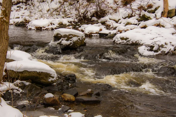 Rivier Het Canadese Bos Eerste Sneeuwval Van November Provincie Quebec — Stockfoto