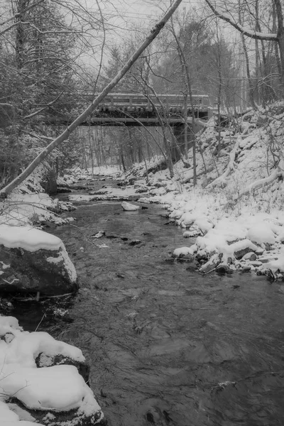 11月的第一场雪之后 加拿大森林中的河流 魁北克省 — 图库照片