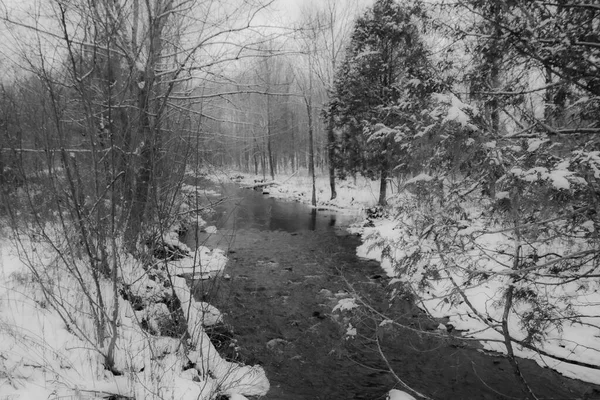 Река Канадском Лесу После Первых Снегов Ноября Провинция Квебек — стоковое фото
