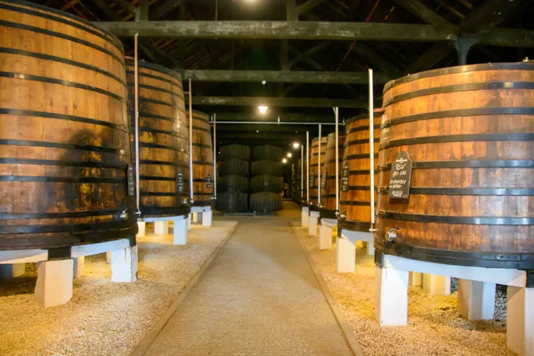 Vila Nova Gaia Portugal October 2022 Oak Wine Barrels Graham — Stock Photo, Image