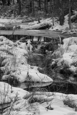 Kanada ormanlarındaki kış nehri manzarası