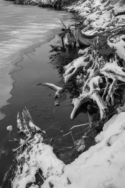 Чудовий Зимовий Краєвид Замерзлим Озером Канадському Лісі — стокове фото