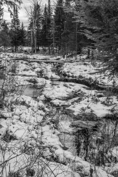 Θέα Στο Χειμερινό Ποτάμι Στο Δάσος Του Καναδά — Φωτογραφία Αρχείου